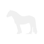Nordsvensk Brukshäst